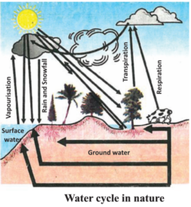 Biogeochemical cycle : Water-cycle