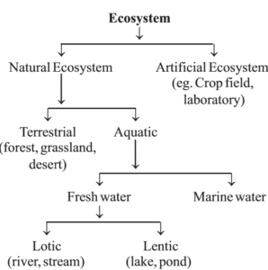 Ecosystem : Type of Ecosystem