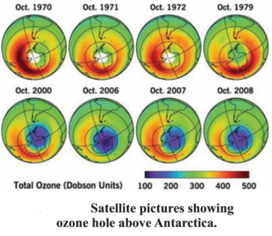 Biogeochemical cycle : Ozone cycle