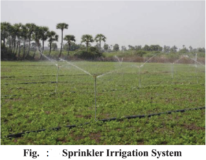 Varieties of Crops and Agriculture : Irrigation System
