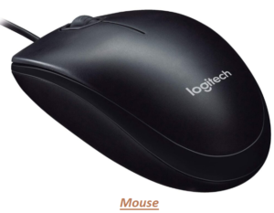 Input devices - Mouse